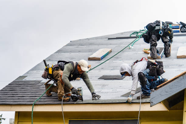 Professional Gutter Installation technician working in Roy, UT